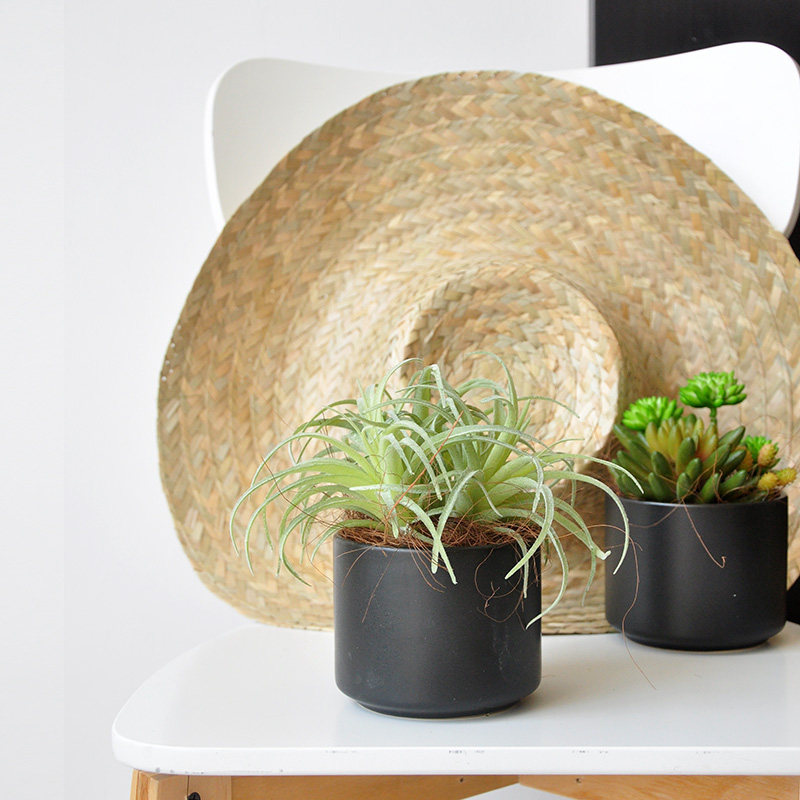 (9) Simulation of meat plant potted Japanese style multi-meat flower art study table arrangement art219