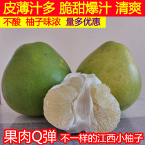5 Jin authentic Jiangxi Anfu Jinlan pomelo Pingxiang Anfu silkworm Jinsha pomelo Jinggangshan Honey Pomelo White pomelo green pomelo
