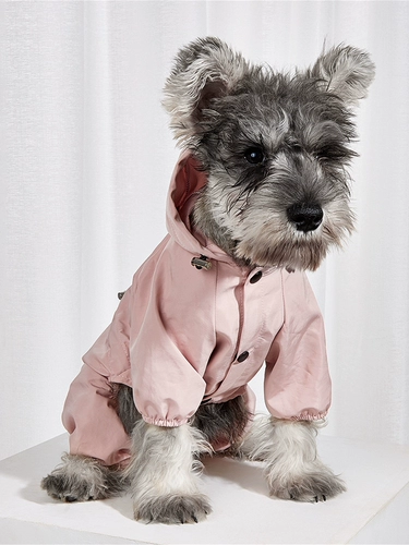 Тедди щенка Пейнс -плащ с четырьмя перевернутыми водонепроницаемы