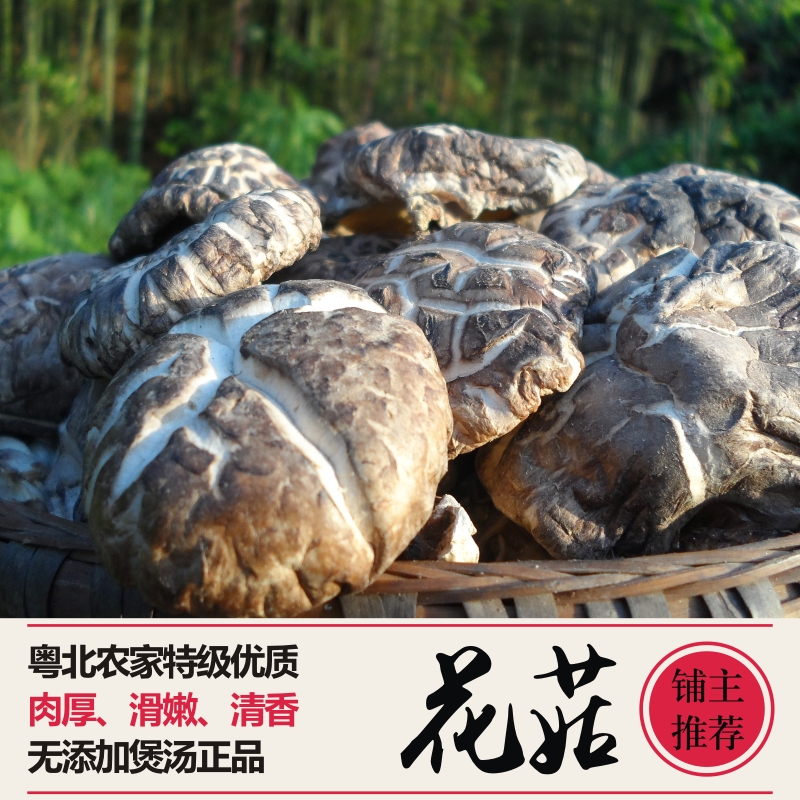Shaoguan Basswood mushroom:Northern Guangdong Danxia log Shiitake mushroom 500g gift bag non-wild Shixing money Shiitake mushroom