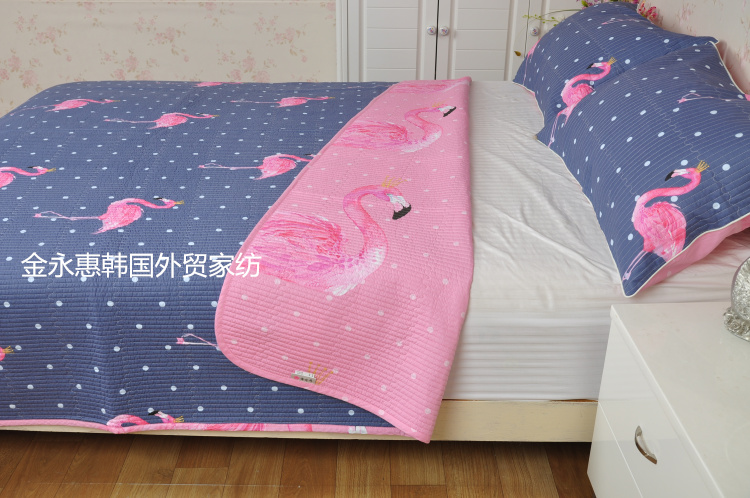 Hàn quốc phổ biến twill bông chần rửa là dày chần phim hoạt hình tấm ga trải giường giường tatami mat mùa hè mát mẻ drap giường