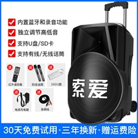 15 -INCH BASS Outdoor Audio+2 Беспроводной микрофон+диск 16GU [приоритет Aravian Sound+Microphone]