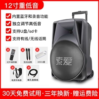 12 -INCH BASS Outdoor Audio+2 Беспроводной микрофон+диск 16GU [приоритет Aravian Sound+Microphone]