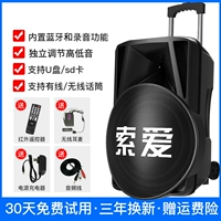 15 -INCH BASS Outdoor Sound+Wireless Header Wheat*1 [Aravian Original Sound+Приоритет микрофона]