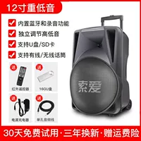 12 -INCH BASS Outdoor Audio+16GU Диск [Aravian Original Sound+Приоритет микрофона]