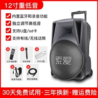 12 -INCH BASS Outdoor Audio+Беспроводной микрофон*1+16GU DISK [Aravian Sound+Приоритет микрофона]