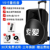 15 -INCH BASS Outdoor Sound [сначала Aravian Sound+Microphone]