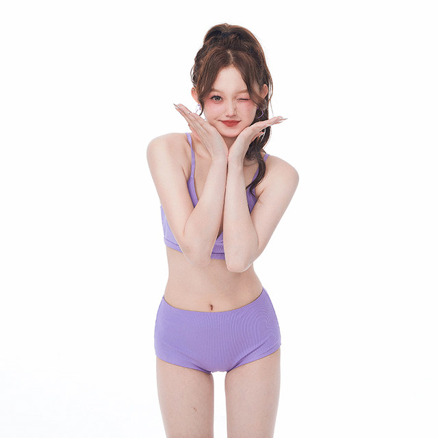 Masked Cat Purple Swimsuit Women's Hot Spring Split Long Sleeve Strap Push-Up Seaside Vacation Three-piece Bikini