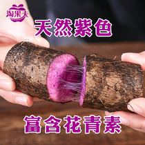 Purple yam Zhengzong Purple Jade Huai Mountain Strip Iron Stick Flower Green Vegetarian Guangxi Deep Mountain Hotel Ingredients Saucepan Chicken Soup