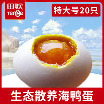 Tian Ge official sea duck eggs salted authentic streaming oil FCL fresh ready-to-eat 65g*20g Guangxi yellow mud marinated and cooked