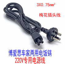 BES Boaisi Car Home Dual Car Electric Rice Cooker 220 Plum Flower Plug Power Cord Dual Use Pressure Cooker Household Wire