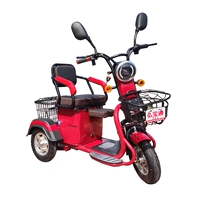 Транспортное средство, батарея, зарядное устройство, 48v, 12A