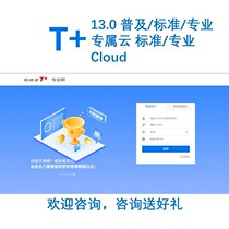 UF T 13 0 standard professional Cloud 19 0 installation authorized financial transmission and storage system remotely