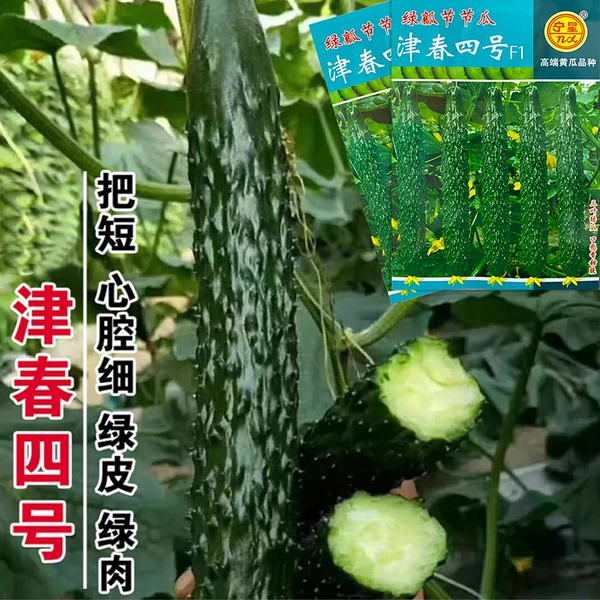 Товары от 金种子一元批发