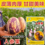 Семена фруктов с женьшенным фруктами Семена фруктов с женьшим