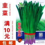 Семена овощей, китайская капуста, фруктовая редька быстрая овощи, салат, салат, вишневая морковь, красивые семена морковки в сердце