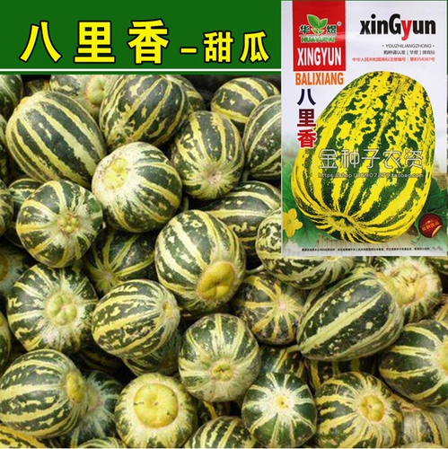 Huayu Bayi Аромат овощной тыква