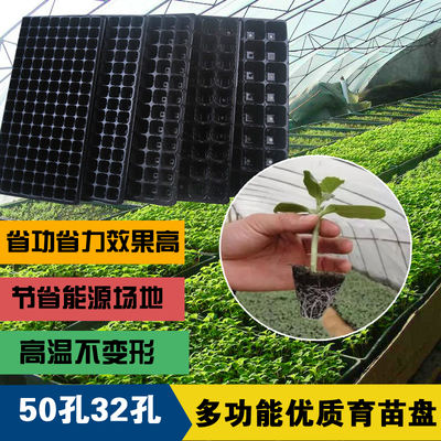 Balcony vegetable growing equipment, seedling trays, nutrient POTS, seedling trays, batch 4.5 special offer, 50-hole and 32-hole thickened trays
