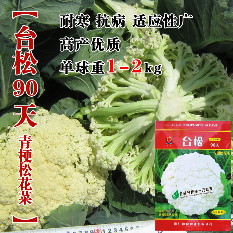 神良白松花椰菜种子台松90天花椰菜一代杂交花菜花种子松花菜