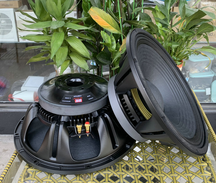 NR Thunderton High-end Fever Professional 220 Magnetic 100 Core medium bass horn Heavy bass unit 15 inch bass