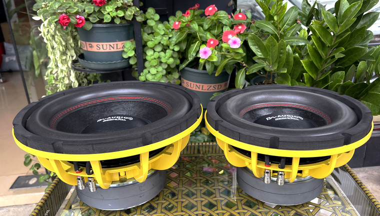 Double magnetic long stroke 10 inch 12 inch 15 inch 15 inch car Low tone Cannon Horn Heavy Bass Ultralow Sound Unit