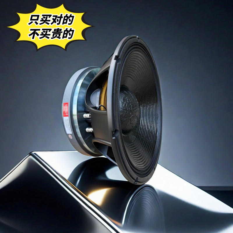 Donglang Donglang Professional Speaker with Huge Magnet and High Power 1200W 15inch 18inch Subwoofer Speaker Donglang Donglang Professional Speaker with Huge Magnet and High Power 1200W 15inch 18inch Subwoofer Speaker