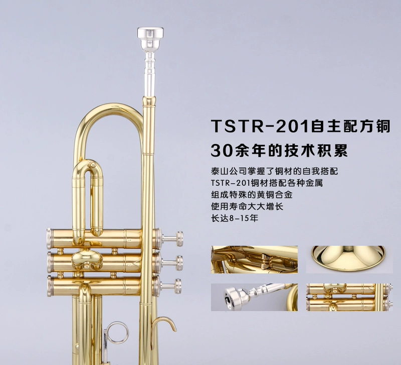 Nhạc cụ kèn Taishan nhạc cụ TSTR-201 kèn dành cho người lớn trẻ em chuyên nghiệp kiểm tra hiệu suất người mới bắt đầu thả phím B - Nhạc cụ phương Tây