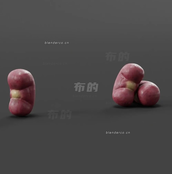 blender暴露的肾脏模型_blender布的11