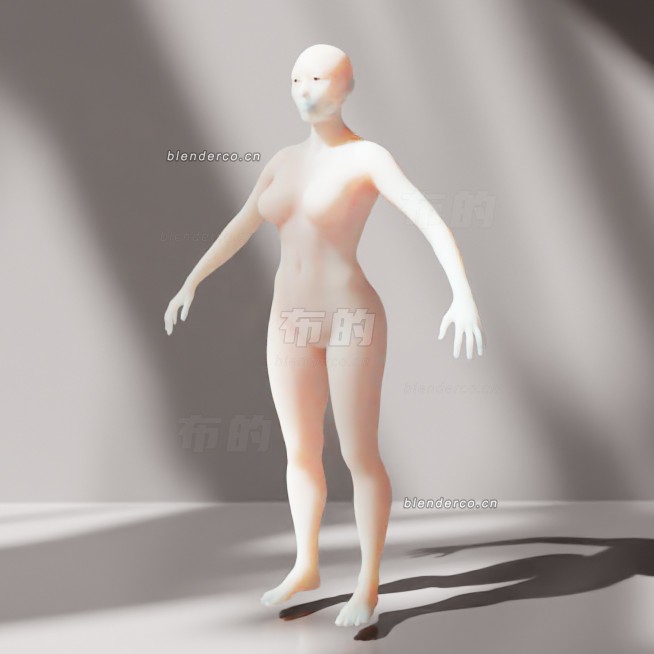 blender亚洲中型女性模型_blender布的39