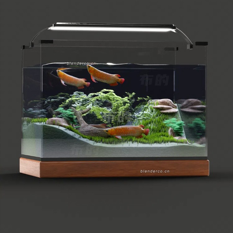 74-水族馆.jpg