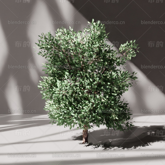 blender树木blender布的模型152