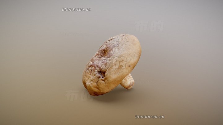 blender香菇模型_blender布的72