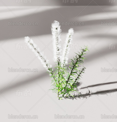 blender花草blender布的模型22