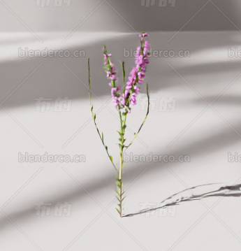 blender花blender布的模型113