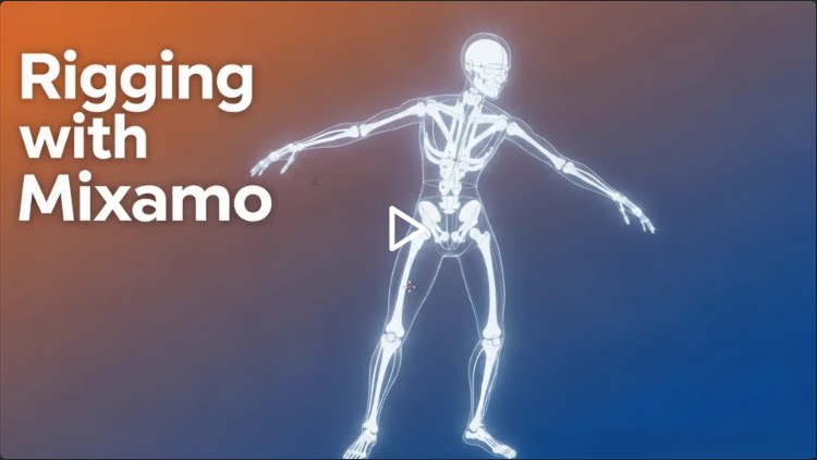 Mixamo Rig