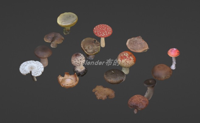 blender低模蘑菇资产  mushroom.blend