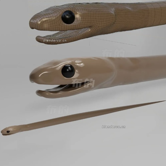 blender蛇形工作模板模型_blender布的13