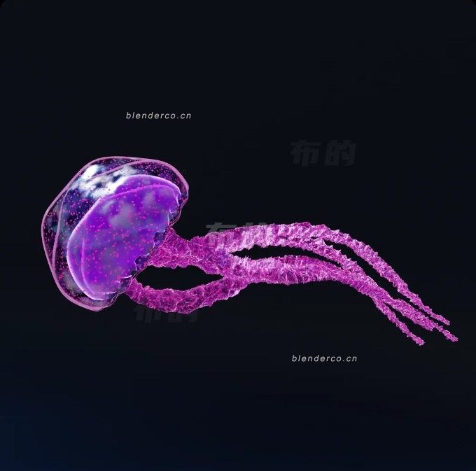 blender动画水母模型_blender布的13