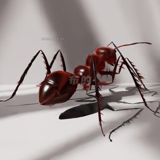blender蚂蚁模型_blender布的10