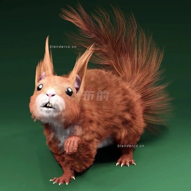 blender松鼠模型_blender布的72