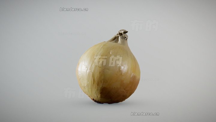 86-黄洋葱.jpg