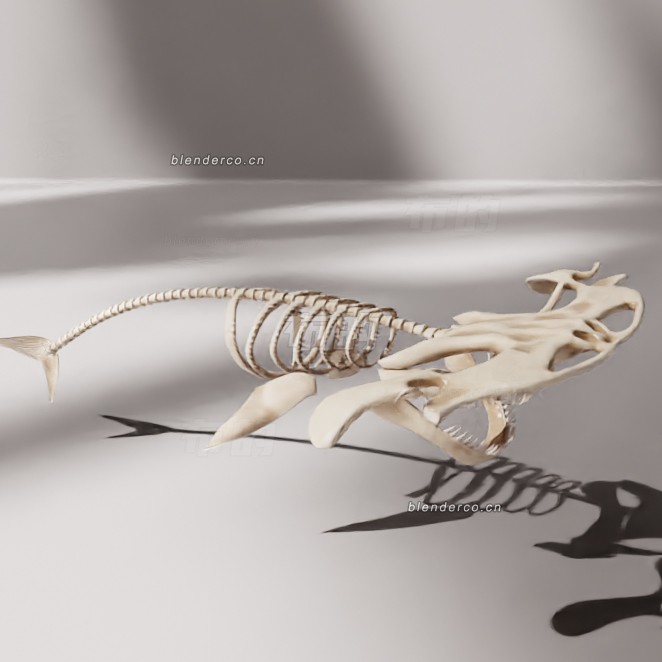 blender锤鱼的骨架模型_blender布的13