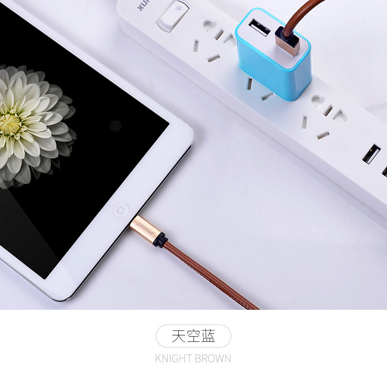 chargeur POLVCDG pour téléphones APPLE APPLE IPHONE6 - Ref 1291791 Image 18