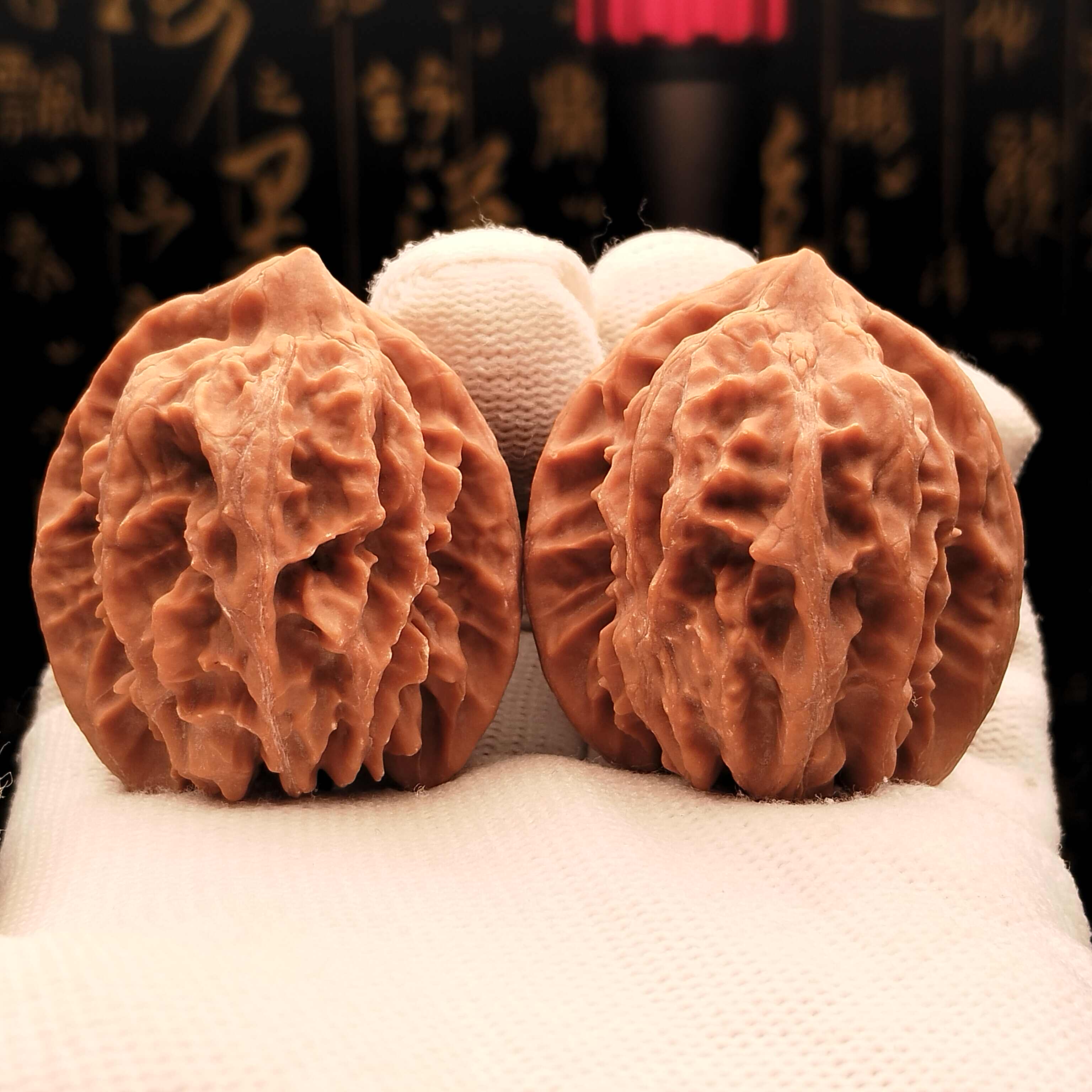 cao dragon Latest Best Selling Praise Recommendation | Taobao