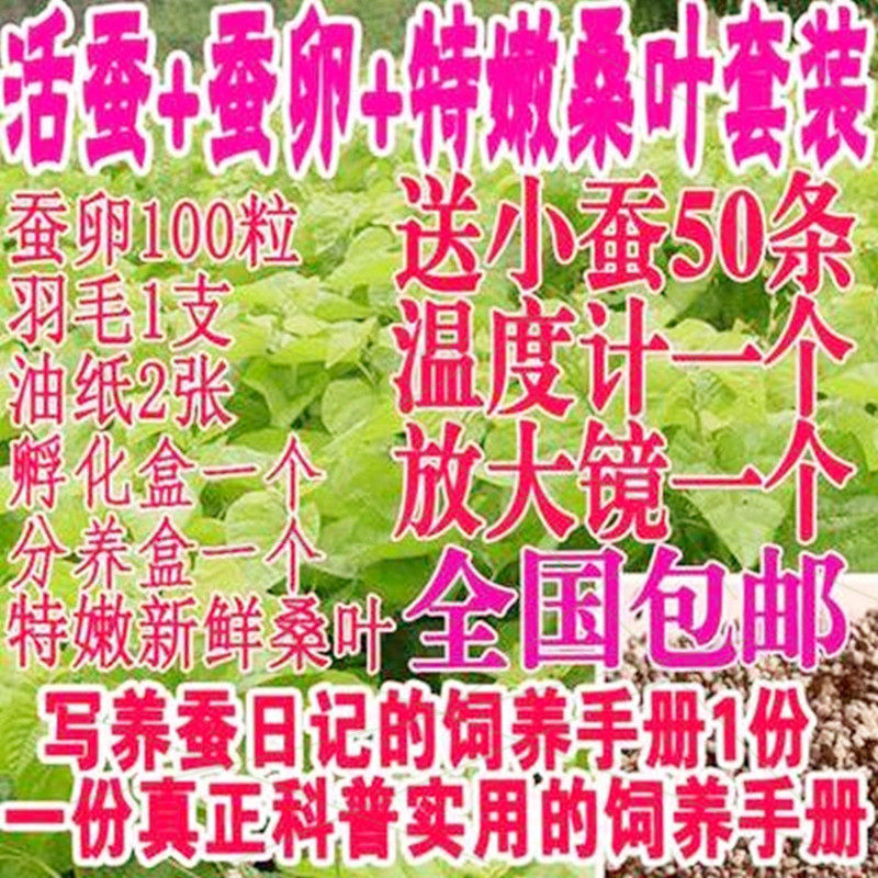 Suit Golden White Living Plastic Sub-Breeding Box Breeding Silkworm Special Tool Rearing Box Students Elementary School Students Silkworms