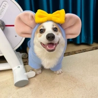 Фан -хлопковая куртка