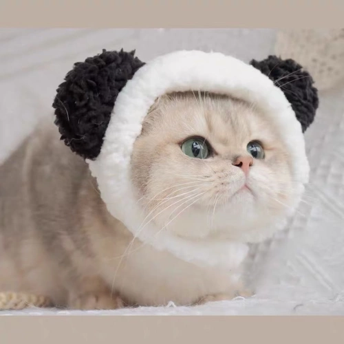 Милая шапка, аксессуар для волос, с медвежатами, наряжаться