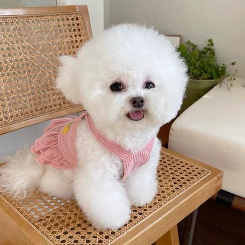 Новый вельвет для домашней одежды осень и зима