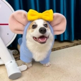 Демисезонный утепленный зимний жилет, осенний сезон