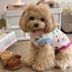 Pet Spring and Autumn Clothes, Cat and Dog Clothes, Autumn and Winter New Style Star Sea Dream Sweater, Autumn and Winter Pet Vest